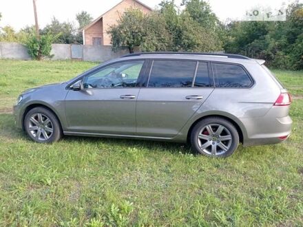 Фольксваген Гольф 2015 у Полтаві на Automoto.ua Сірий Фольксваген Гольф, об'ємом двигуна 1.6 л та пробігом 230 тис. км за 11900 $, фото 1 на Automoto.ua