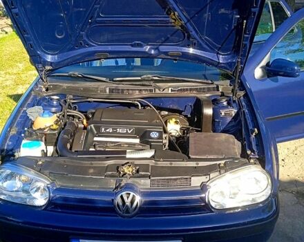 Синій Фольксваген Гольф, об'ємом двигуна 1.4 л та пробігом 244 тис. км за 3200 $, фото 4 на Automoto.ua