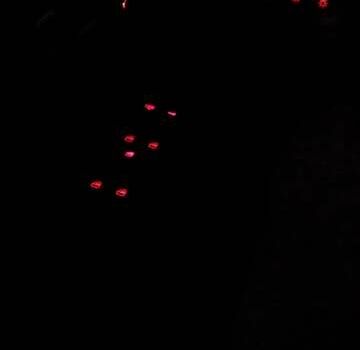 Синій Фольксваген Гольф, об'ємом двигуна 1.39 л та пробігом 244 тис. км за 3900 $, фото 15 на Automoto.ua