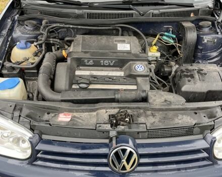 Синий Фольксваген Гольф, объемом двигателя 1.4 л и пробегом 184 тыс. км за 3500 $, фото 7 на Automoto.ua
