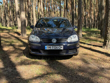 Фольксваген Гольф 2004 в Сумах на Automoto.ua Синий Фольксваген Гольф, объемом двигателя 1.4 л и пробегом 241 тыс. км за 4200 $, фото 1 на Automoto.ua