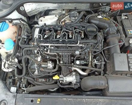 Белый Фольксваген Джетта, объемом двигателя 1.6 л и пробегом 226 тыс. км за 12500 $, фото 45 на Automoto.ua