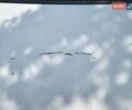 Белый Фольксваген ЛТ, объемом двигателя 2.5 л и пробегом 180 тыс. км за 10500 $, фото 4 на Automoto.ua