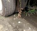 Фиолетовый Фольксваген ЛТ, объемом двигателя 2.5 л и пробегом 400 тыс. км за 4500 $, фото 11 на Automoto.ua