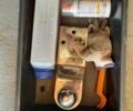 Синий Фольксваген Мультиван, объемом двигателя 1.97 л и пробегом 132 тыс. км за 29500 $, фото 6 на Automoto.ua