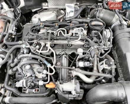 Білий Фольксваген Пассат Альтрак, об'ємом двигуна 2 л та пробігом 246 тис. км за 12999 $, фото 108 на Automoto.ua