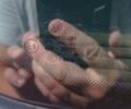 Синій Фольксваген Пассат Б6, об'ємом двигуна 2 л та пробігом 272 тис. км за 7300 $, фото 116 на Automoto.ua