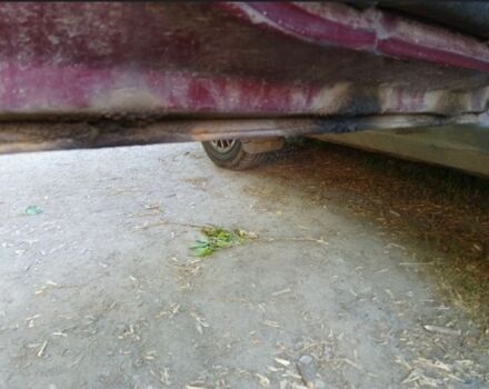 Красный Фольксваген Пассат Вариант, объемом двигателя 2 л и пробегом 1 тыс. км за 3200 $, фото 10 на Automoto.ua