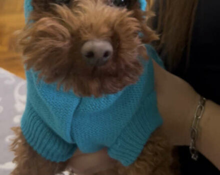 Чорний Фольксваген Пассат, об'ємом двигуна 2.5 л та пробігом 260 тис. км за 9500 $, фото 25 на Automoto.ua