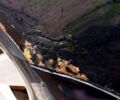 Фольксваген Пассат 2007 у Первомайськ на Automoto.ua Чорний Фольксваген Пассат, об'ємом двигуна 2 л та пробігом 308 тис. км за 3800 $, фото 9 на Automoto.ua