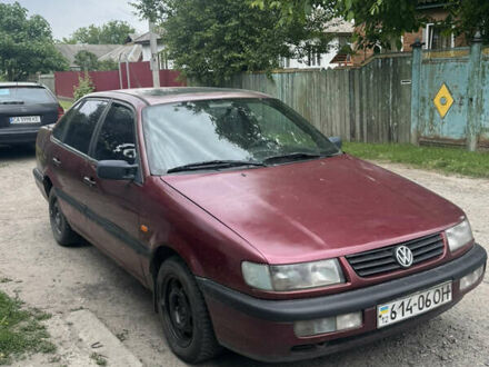 Фольксваген Пассат 1997 в Черкассах на Automoto.ua Красный Фольксваген Пассат, объемом двигателя 1.9 л и пробегом 365 тыс. км за 2200 $, фото 1 на Automoto.ua