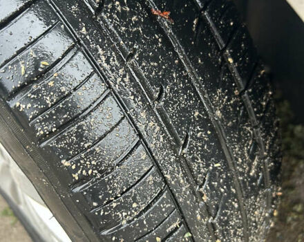 Фольксваген Пассат, об'ємом двигуна 2.5 л та пробігом 261 тис. км за 8600 $, фото 20 на Automoto.ua