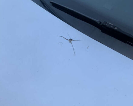 Серый Фольксваген Пассат, объемом двигателя 1.8 л и пробегом 195 тыс. км за 9200 $, фото 17 на Automoto.ua