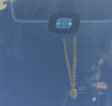 Серый Фольксваген Пассат, объемом двигателя 1.97 л и пробегом 248 тыс. км за 12900 $, фото 8 на Automoto.ua