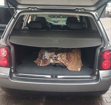 Серый Фольксваген Пассат, объемом двигателя 1.8 л и пробегом 320 тыс. км за 5900 $, фото 15 на Automoto.ua