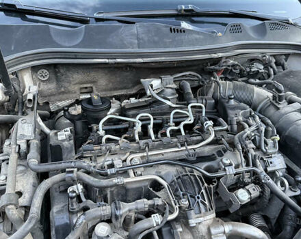 Фольксваген Пассат 2010 в Виннице на Automoto.ua Серый Фольксваген Пассат, объемом двигателя 1.97 л и пробегом 260 тыс. км за 6899 $, фото 33 на Automoto.ua