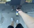 Серый Фольксваген Пассат, объемом двигателя 1.6 л и пробегом 229 тыс. км за 12500 $, фото 137 на Automoto.ua