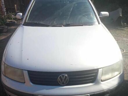 Фольксваген Пассат 1997 в Чернигове на Automoto.ua Серый Фольксваген Пассат, объемом двигателя 1.6 л и пробегом 3 тыс. км за 2500 $, фото 1 на Automoto.ua