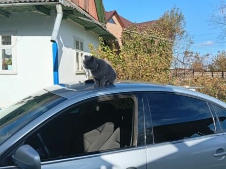 Серый Фольксваген Пассат, объемом двигателя 1 л и пробегом 258 тыс. км за 4100 $, фото 1 на Automoto.ua