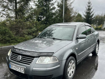 Фольксваген Пассат 2002 в Тернополе на Automoto.ua Серый Фольксваген Пассат, объемом двигателя 1.78 л и пробегом 320 тыс. км за 3199 $, фото 1 на Automoto.ua