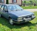 Синий Фольксваген Пассат, объемом двигателя 1.6 л и пробегом 325 тыс. км за 699 $, фото 1 на Automoto.ua