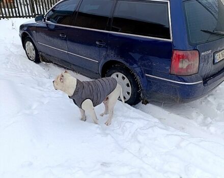 Синий Фольксваген Пассат, объемом двигателя 1.9 л и пробегом 324 тыс. км за 5300 $, фото 5 на Automoto.ua