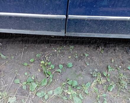 Фольксваген Пассат 2006 в Песчанке на Automoto.ua Синий Фольксваген Пассат, объемом двигателя 2 л и пробегом 267 тыс. км за 4500 $, фото 4 на Automoto.ua