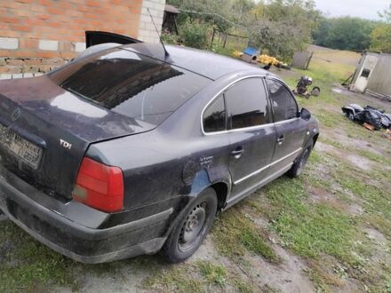 Фольксваген Пассат 1997 в Бердичеве на Automoto.ua Синий Фольксваген Пассат, объемом двигателя 0 л и пробегом 500 тыс. км за 1250 $, фото 1 на Automoto.ua