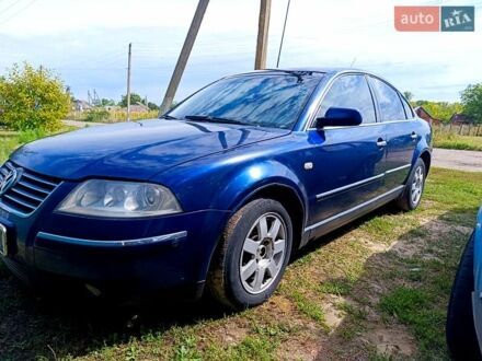 Фольксваген Пассат 2002 у Краснокутске на Automoto.ua Синій Фольксваген Пассат, об'ємом двигуна 2.5 л та пробігом 300 тис. км за 4199 $, фото 1 на Automoto.ua