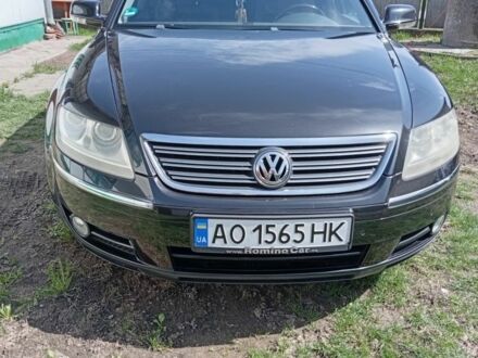 Черный Фольксваген Фаетон, объемом двигателя 3 л и пробегом 245 тыс. км за 7250 $, фото 1 на Automoto.ua