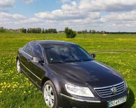Черный Фольксваген Фаетон, объемом двигателя 2.97 л и пробегом 290 тыс. км за 9000 $, фото 1 на Automoto.ua