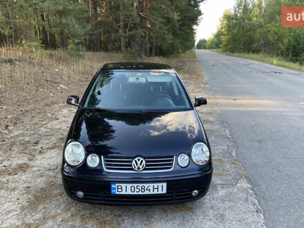 Фольксваген Поло 2003 в Новых Санжарах на Automoto.ua Черный Фольксваген Поло, объемом двигателя 1.39 л и пробегом 218 тыс. км за 4250 $, фото 1 на Automoto.ua