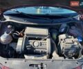 Красный Фольксваген Поло, объемом двигателя 1.4 л и пробегом 215 тыс. км за 4500 $, фото 4 на Automoto.ua