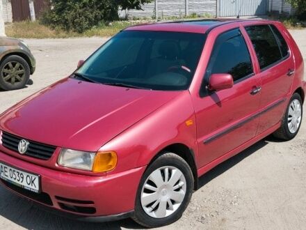 Фольксваген Поло 1998 в Днепре (Днепропетровске) на Automoto.ua Красный Фольксваген Поло, объемом двигателя 1.6 л и пробегом 213 тыс. км за 2350 $, фото 1 на Automoto.ua