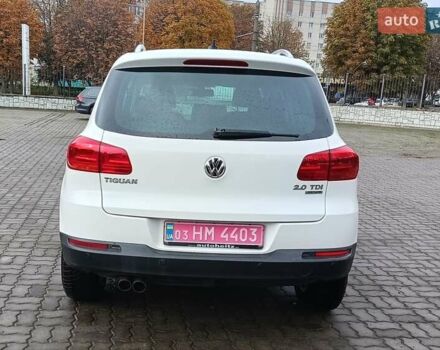 Белый Фольксваген Тигуан, объемом двигателя 2 л и пробегом 95 тыс. км за 17900 $, фото 6 на Automoto.ua