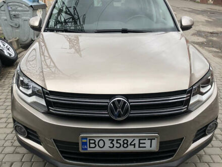 Фольксваген Тігуан 2015 у Тернополі на Automoto.ua Бежевий Фольксваген Тігуан, об'ємом двигуна 1.97 л та пробігом 84 тис. км за 22100 $, фото 1 на Automoto.ua