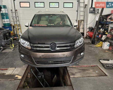 Коричневый Фольксваген Тигуан, объемом двигателя 0 л и пробегом 276 тыс. км за 8000 $, фото 1 на Automoto.ua