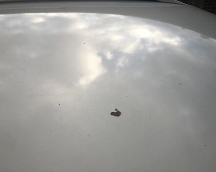 Серый Фольксваген Тигуан, объемом двигателя 2 л и пробегом 134 тыс. км за 11000 $, фото 6 на Automoto.ua