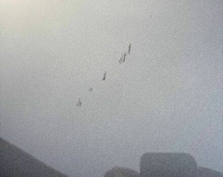 Серый Фольксваген Тигуан, объемом двигателя 2 л и пробегом 17 тыс. км за 30000 $, фото 21 на Automoto.ua