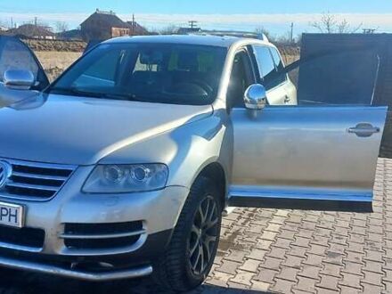 Фольксваген Туарег 2005 в Радехове на Automoto.ua Бежевый Фольксваген Туарег, объемом двигателя 3 л и пробегом 290 тыс. км за 8500 $, фото 1 на Automoto.ua