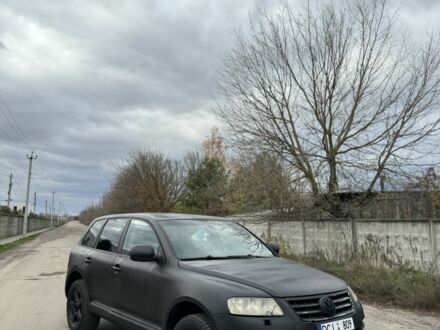 Фольксваген Туарег 2003 у Борисполе на Automoto.ua Чорний Фольксваген Туарег, об'ємом двигуна 3.2 л та пробігом 3 тис. км за 4000 $, фото 1 на Automoto.ua
