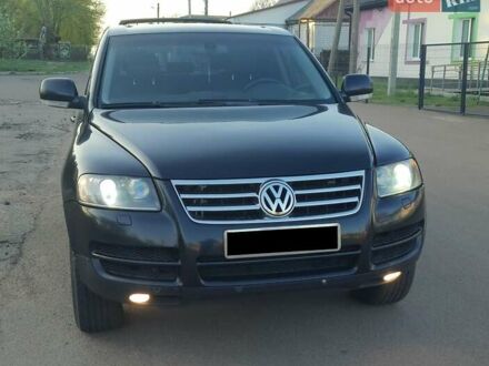 Фольксваген Туарег 2005 в Коростене на Automoto.ua Черный Фольксваген Туарег, объемом двигателя 3.2 л и пробегом 321 тыс. км за 7499 $, фото 1 на Automoto.ua