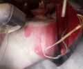 Красный Фольксваген Венто, объемом двигателя 1.78 л и пробегом 445 тыс. км за 900 $, фото 11 на Automoto.ua