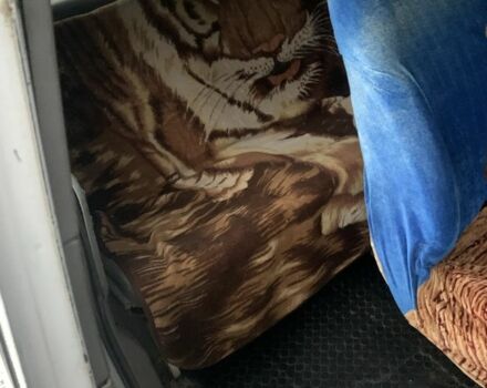 Фольксваген Transporter 1996 в Буче на Automoto.ua Белый Фольксваген Transporter, объемом двигателя 1.9 л и пробегом 350 тыс. км за 4500 $, фото 8 на Automoto.ua