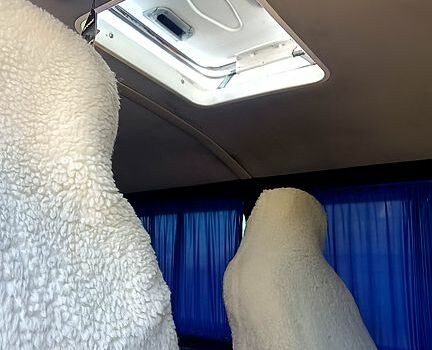 Фольксваген Transporter, объемом двигателя 2.5 л и пробегом 395 тыс. км за 8000 $, фото 3 на Automoto.ua