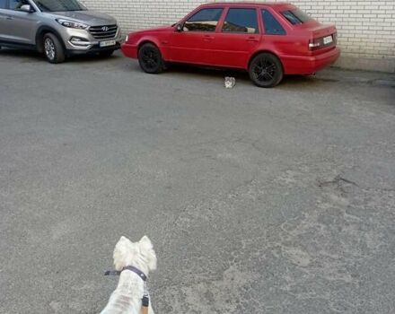 Вольво 440, объемом двигателя 1.72 л и пробегом 166 тыс. км за 2500 $, фото 17 на Automoto.ua