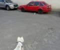 Вольво 440, объемом двигателя 1.72 л и пробегом 166 тыс. км за 2500 $, фото 17 на Automoto.ua