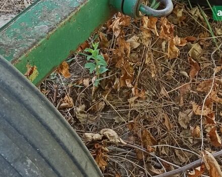 Вольво Актив, объемом двигателя 0 л и пробегом 0 тыс. км за 7000 $, фото 4 на Automoto.ua