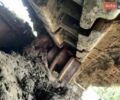 Желтый Вольво EC 220D, объемом двигателя 6 л и пробегом 0 тыс. км за 151340 $, фото 12 на Automoto.ua