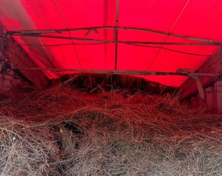 Белый Вольво ФХ, объемом двигателя 12 л и пробегом 0 тыс. км за 7500 $, фото 7 на Automoto.ua